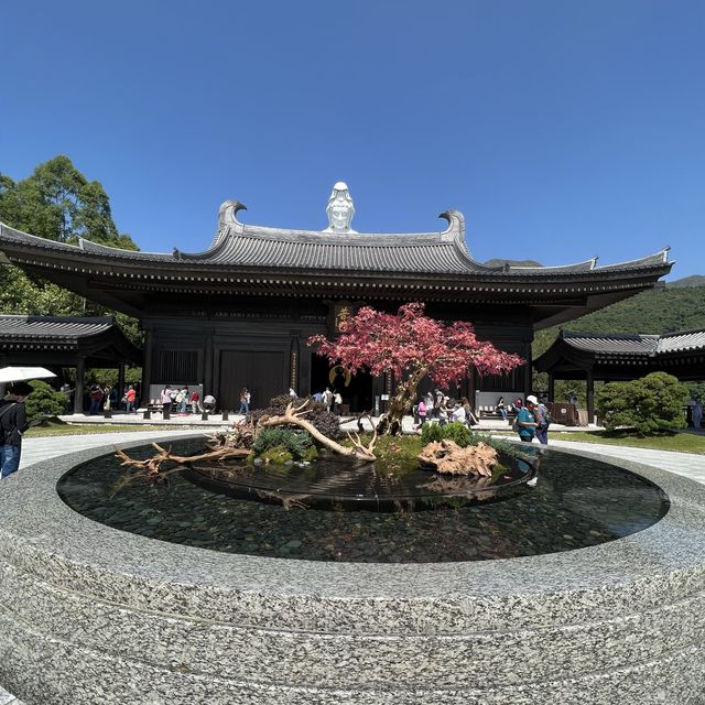洗滌心靈之旅-［慈山寺觀音誕］