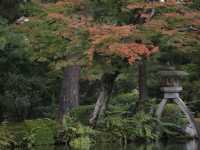【金沢】日本三名園！兼六園をご紹介