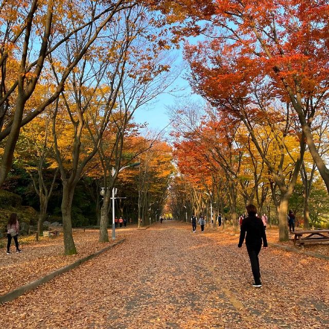 서울근교 단풍구경하기 좋은 곳🤩