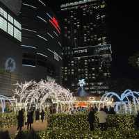 몽환적인 롯데월드타워 크리스마스 샤롯데가든🎄