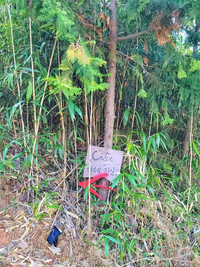 하동 카페녹음, 힐링이 시작되는 곳이란 자신감🌳
