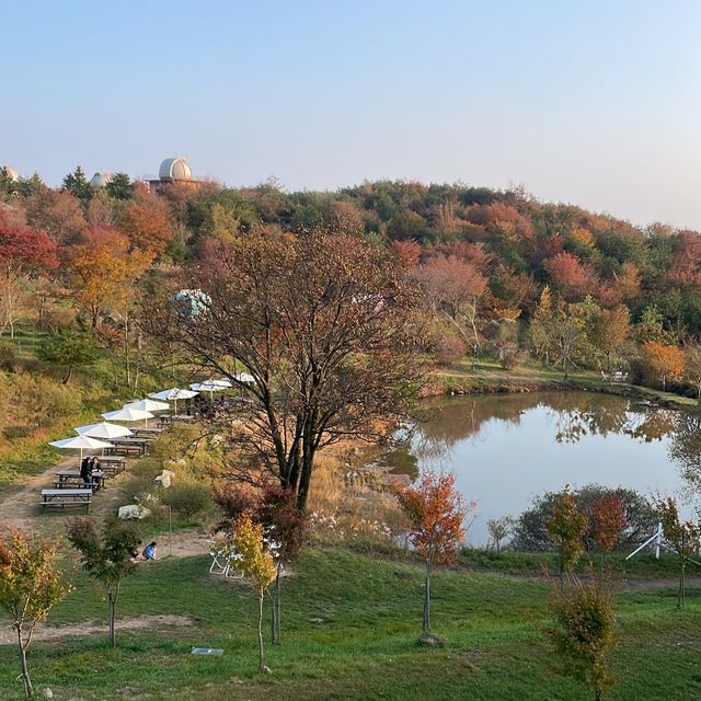 대구 스파밸리주변 멋진 카페 