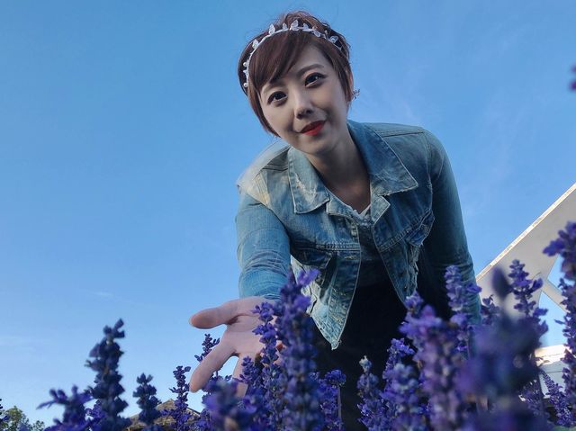 臺中后里 市郊人氣後花園 中社觀光花市花海