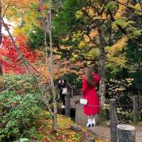 京都紅葉2022  天授庵の素晴らしいすぎる紅葉