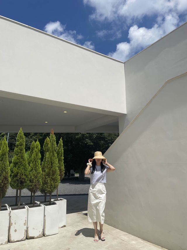 제주 동쪽 다양한 포토존이 있는 뷰좋은카페, 비케이브
