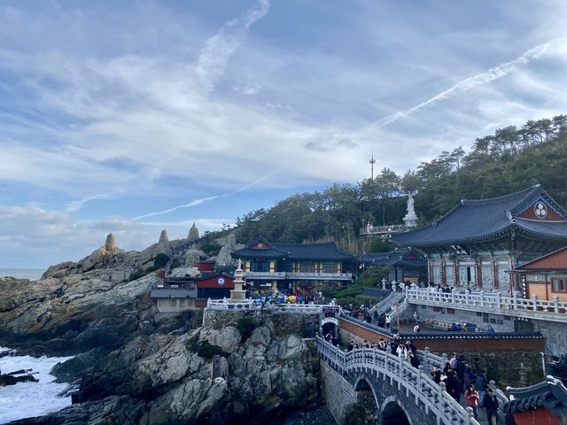 사계절 다른 매력, 부산가면 꼭 방문하는 해동용궁사 🙏🏻