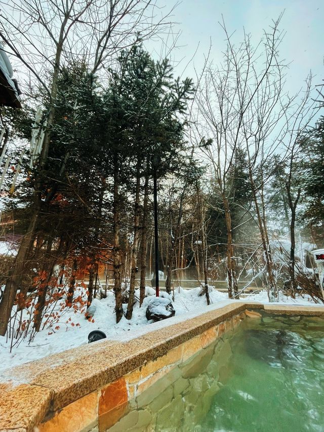 Hot Spring Resort in 长白山⛷❄️