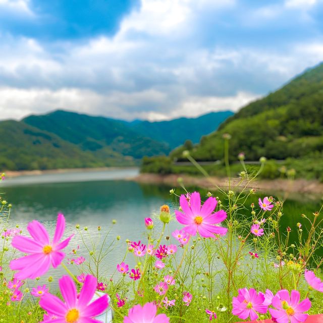 지리산근처 리버뷰 사진명소, 하동호 🏞