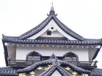 Hikonyan ~ 