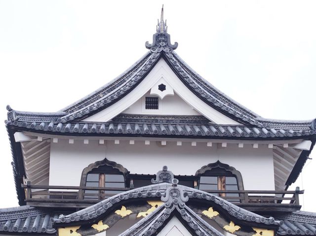 Hikonyan ~ 