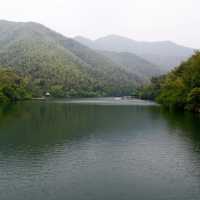 Nanshan Bamboo Sea - Liyang - Changzhou 