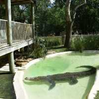 Visit Australia's animals 