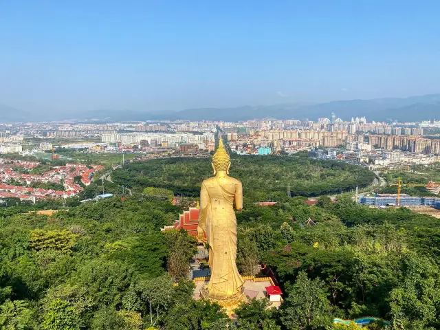 상하이문’s 시솽반나 멍러대불사