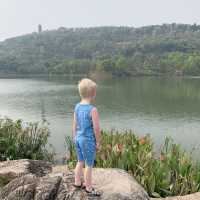 A Botanical Oasis in the Center of Chongqing