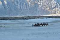 Nubra valley india
