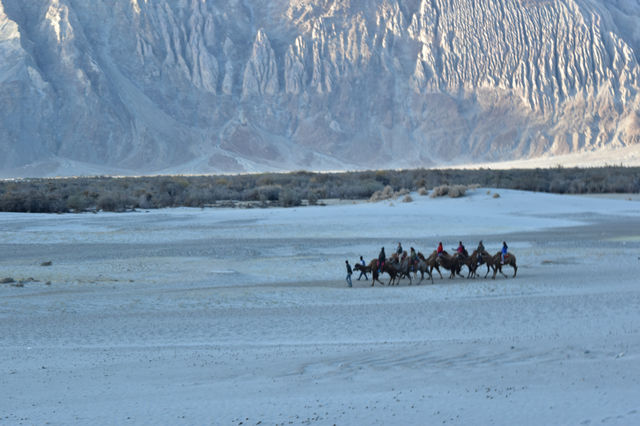 Nubra valley india
