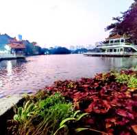 Beautiful Lychee Park in Futian Shenzhen 