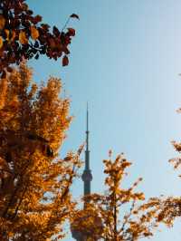 Winter Perspective of the Pearl Tower🧡🍁