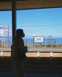 Japanese niche coast · Amagihama coast