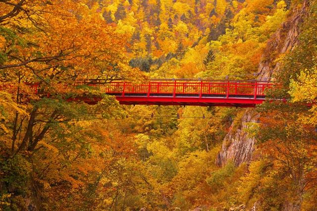 【2023日本紅葉】北海道人氣賞楓景點推介：札幌、函館 | 北海道