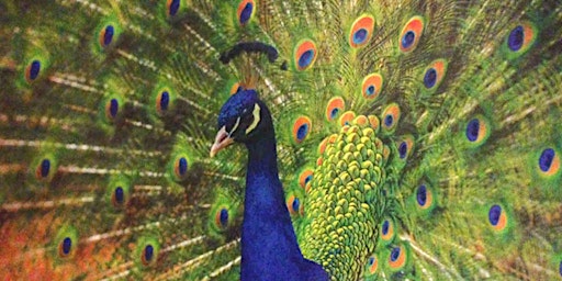 Join us April 28 for a BYOB afternoon of Picnic'n Paint | Pinetum East Central Park