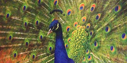 Join us April 28 for a BYOB afternoon of Picnic'n Paint | Pinetum East Central Park