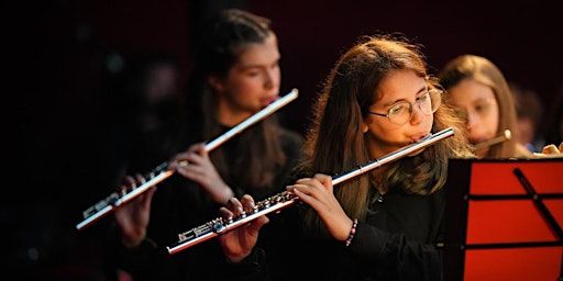 Caro Maestro | Teatro Carani