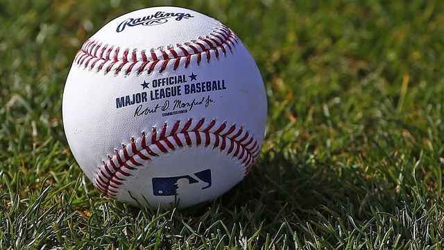 Reeths Puffer Baseball Camp/Clinic | Reeths-Puffer High School