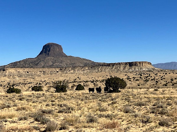 Geology of New Mexico Landscapes - NEW DATE! | Center for Contemporary Arts Santa Fe