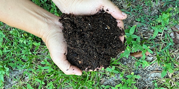 Soil Building Workshop - In Person | Hillsborough County Extension Service