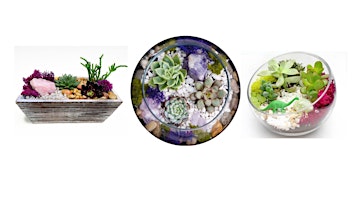Celebrate Mother's Day at our  Succulent Planting Event | Mimi's Cafe