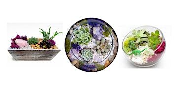 Celebrate Mother's Day at our  Succulent Planting Event | Mimi's Cafe