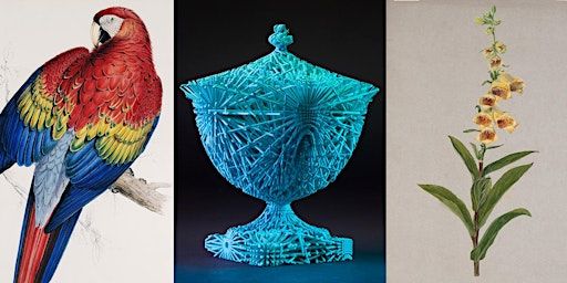 British Sign Language Tour: Colour at the Millennium Gallery | Millennium Gallery