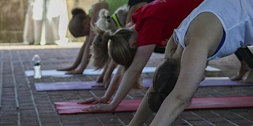 Yoga on the Magnolia Terrace-Happy Hour Thursday | Carlyle House Historic Park