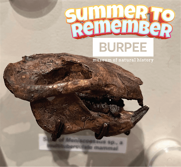 Burpee Museum's 2025  Summer Day Camp: Paleontology, July 28th - August 1st | Burpee Museum of Natural History
