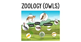 Zoology Class (Owl Pellets) | 1816 W Baseline Rd