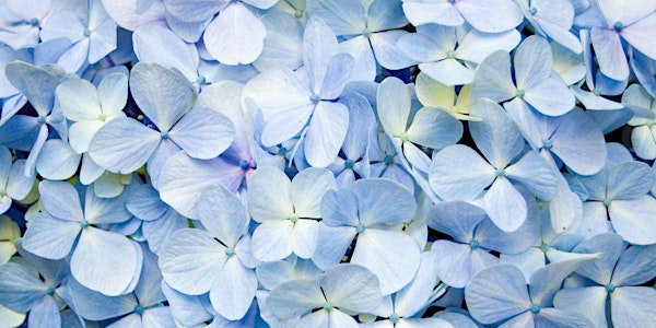 A Morning with Spirit: Evidential Medium Kathy Reese at Annapolis Crystals | Annapolis Crystals