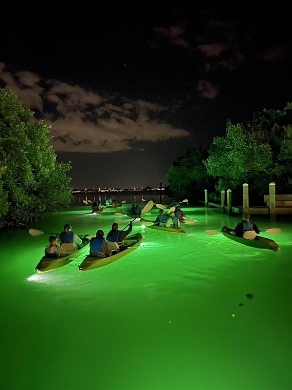 LED Glass Bottom Kayaking Nighttime Tour (Version #2) | County of Pinellas Boat Ramp