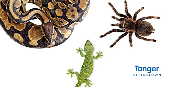 March Break Ed-Zoo-Cation Private Interactive Experience | Tanger Outlets Cookstown