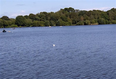 Boating lake and Heath Barrows Project at Petersfield | The Plump Duck
