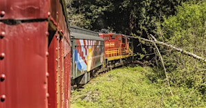 Day Trip: Through the Redwoods - A Skunk Train Experience | The Skunk Train