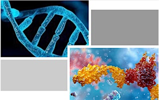 GSR–IMADSR Joint Core Transcriptomics Hybrid Workshop | Aggie Square
