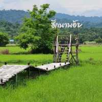 สะพานทุ่งนาน้อยเขาหล่น