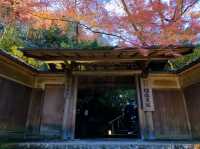 京都[紅葉めぐり]   幻の紅葉　瑠璃光院
