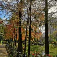 青衣公園