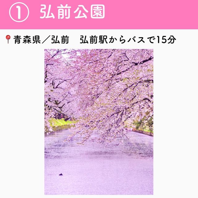 この春行きたい！お花見スポット7選