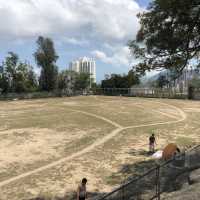  春季市區休息打卡好地方