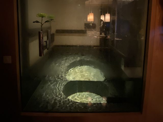 靜水沁園露台海景客房 - 香港君悅酒店