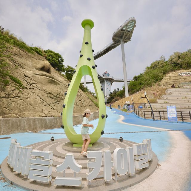 동해 도째비골 스카이밸리 날으는 자전거