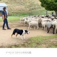 【千葉県】大人も楽しいマザー牧場